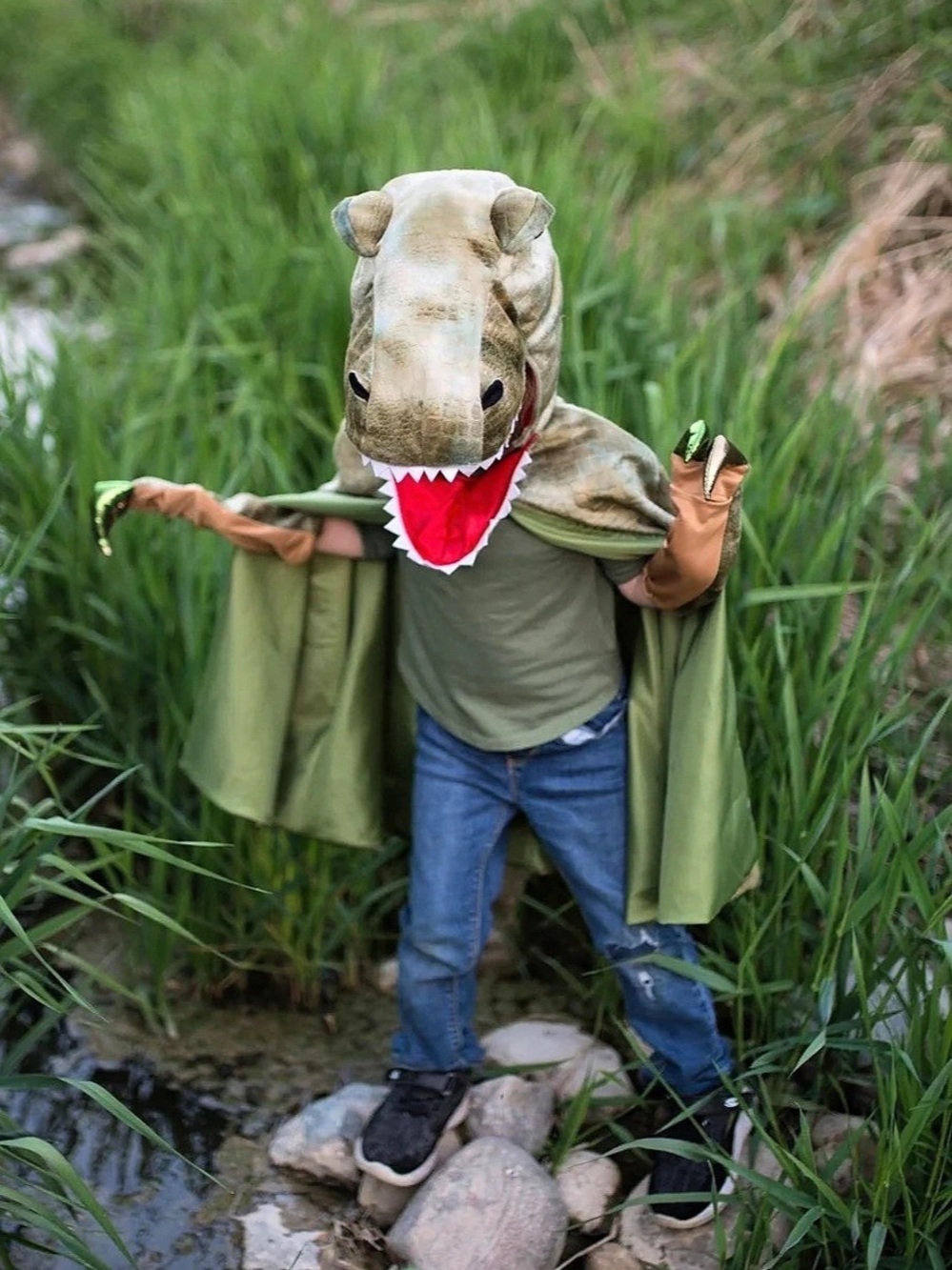 Dinosaur Costume Green & Brown